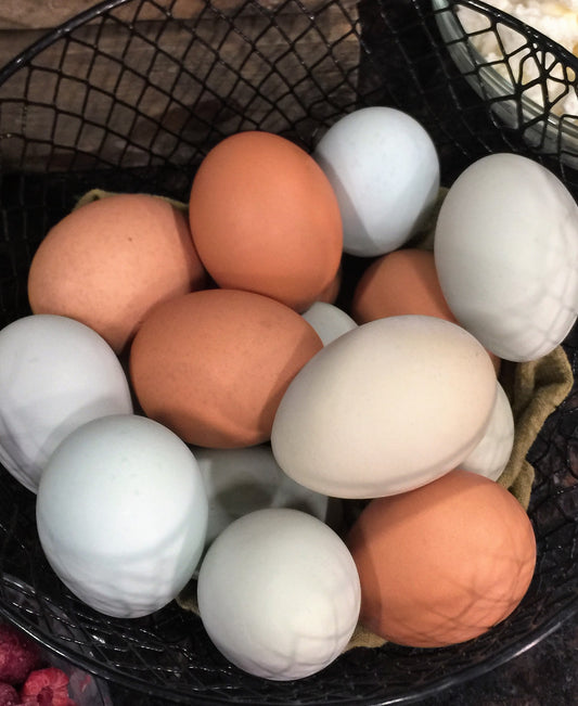 March, 2022 - 'Eggs'cellent Inspiration