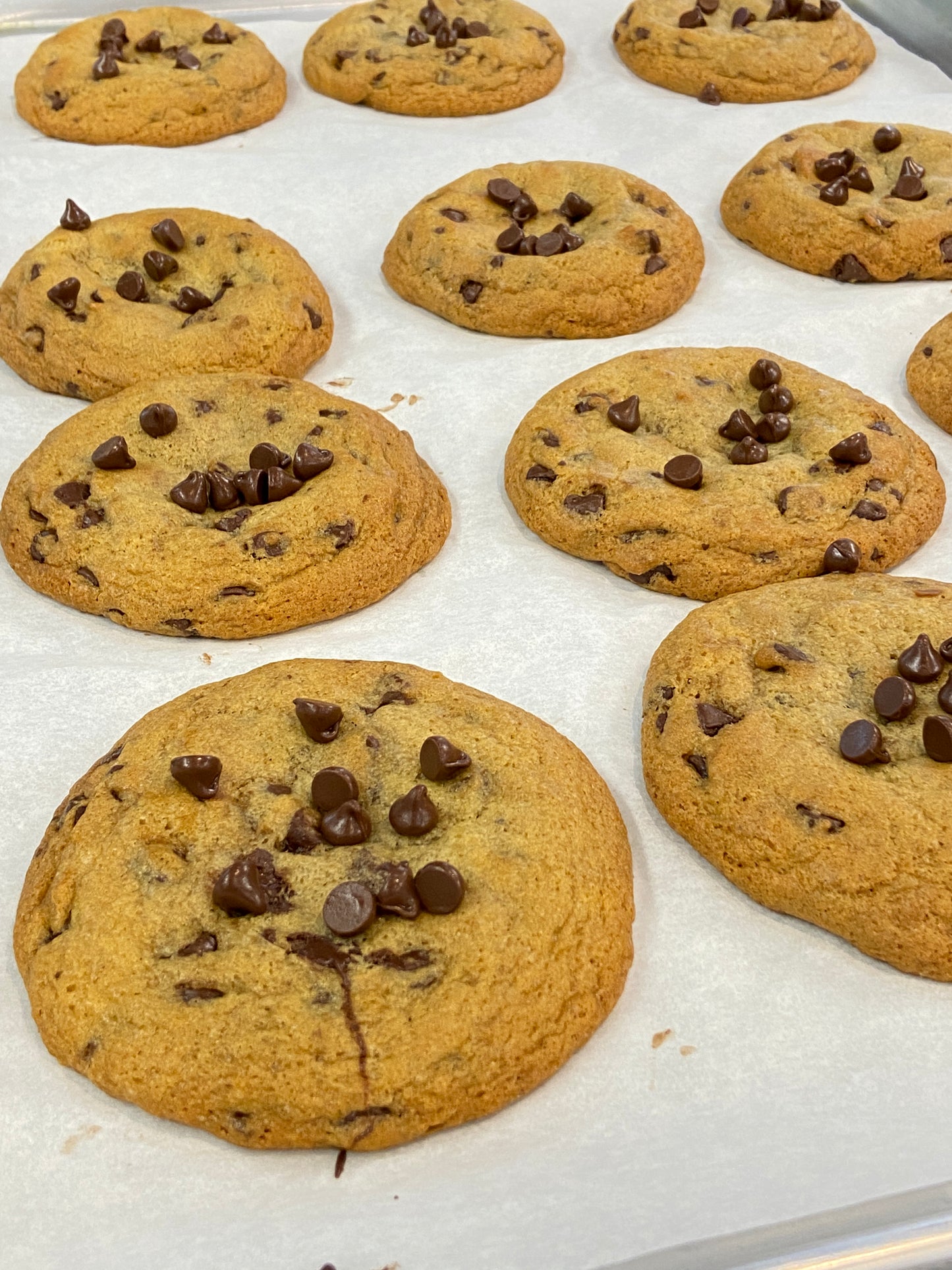 8/28 Cafe Bake - Toll-House Style Chocolate Chip Cookies