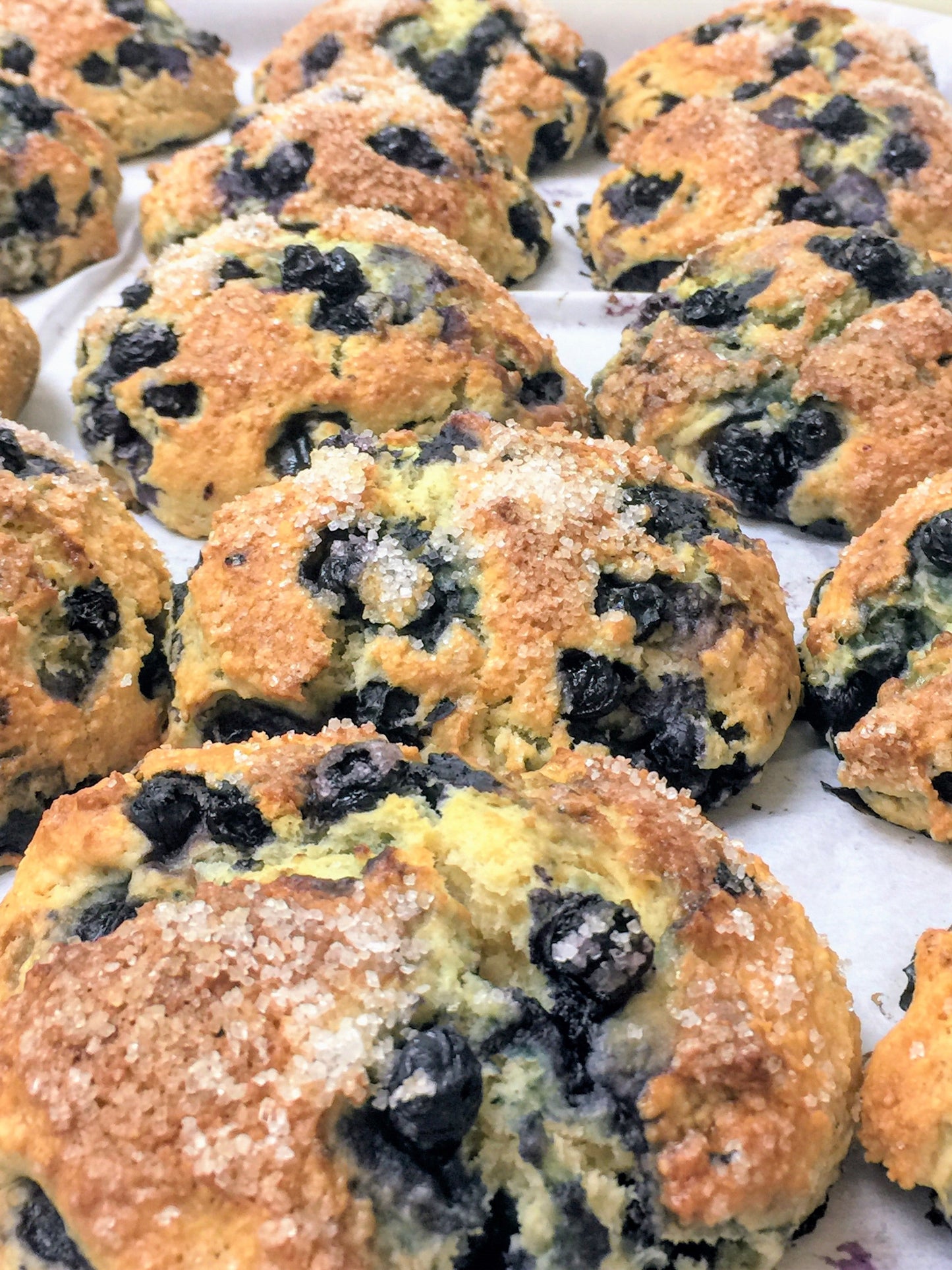 12/23 Scone-a-Friend - LEMON POPPY
