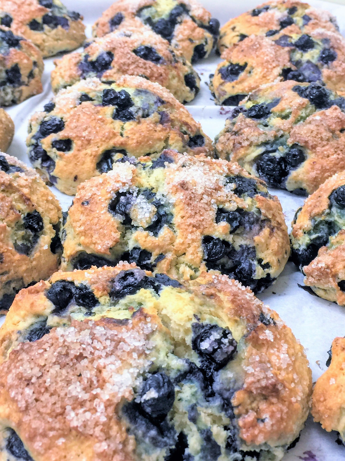 5/28 Cafe Bake - Blueberry Scone