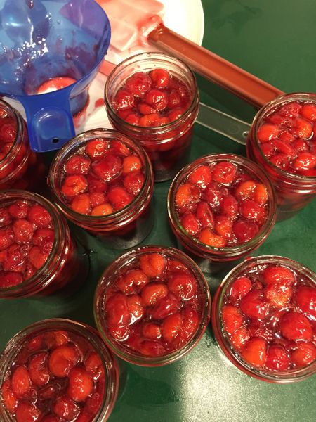 Sour Cherry Preserves