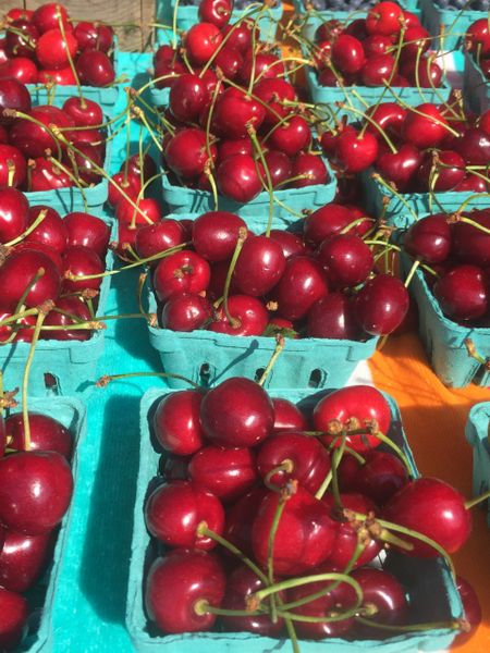 Sour Cherry Preserves