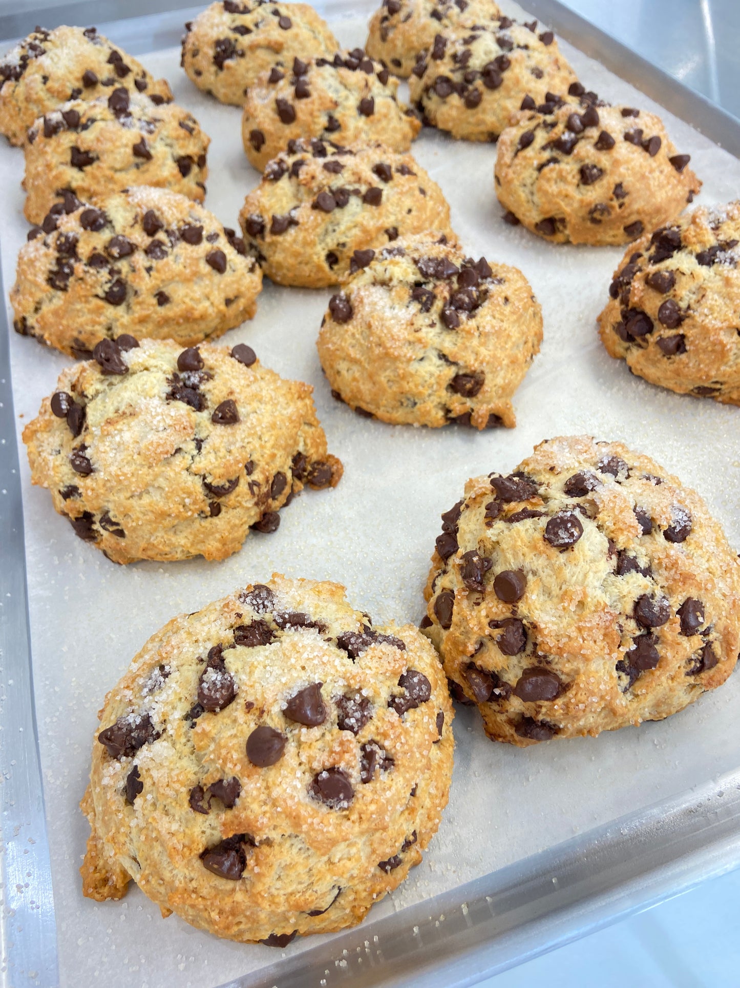 5/10 Scone Saturday - Chocolate Chip Scones (for pick up at 800 Broadway)
