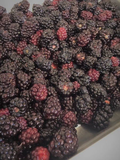 Blackberry Jam