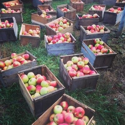 Fresh Apple Bread Mix