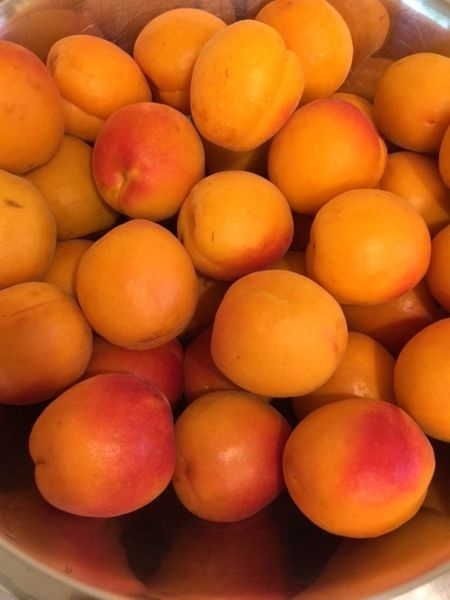 Apricot Jam